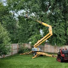 Best Arborist Consultation Services  in Diboll, TX